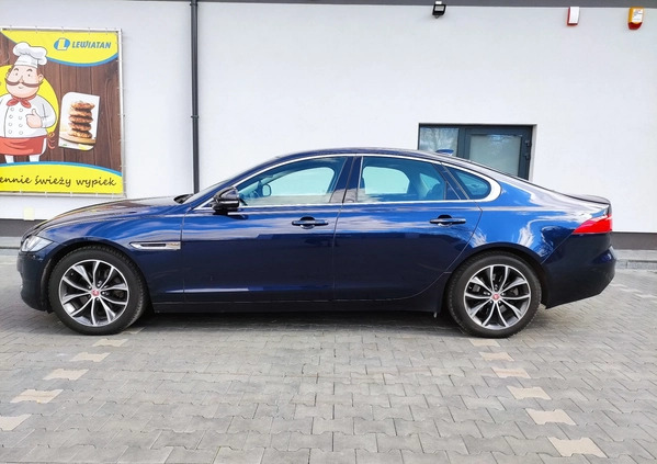 Jaguar XF cena 77900 przebieg: 170000, rok produkcji 2018 z Starachowice małe 211